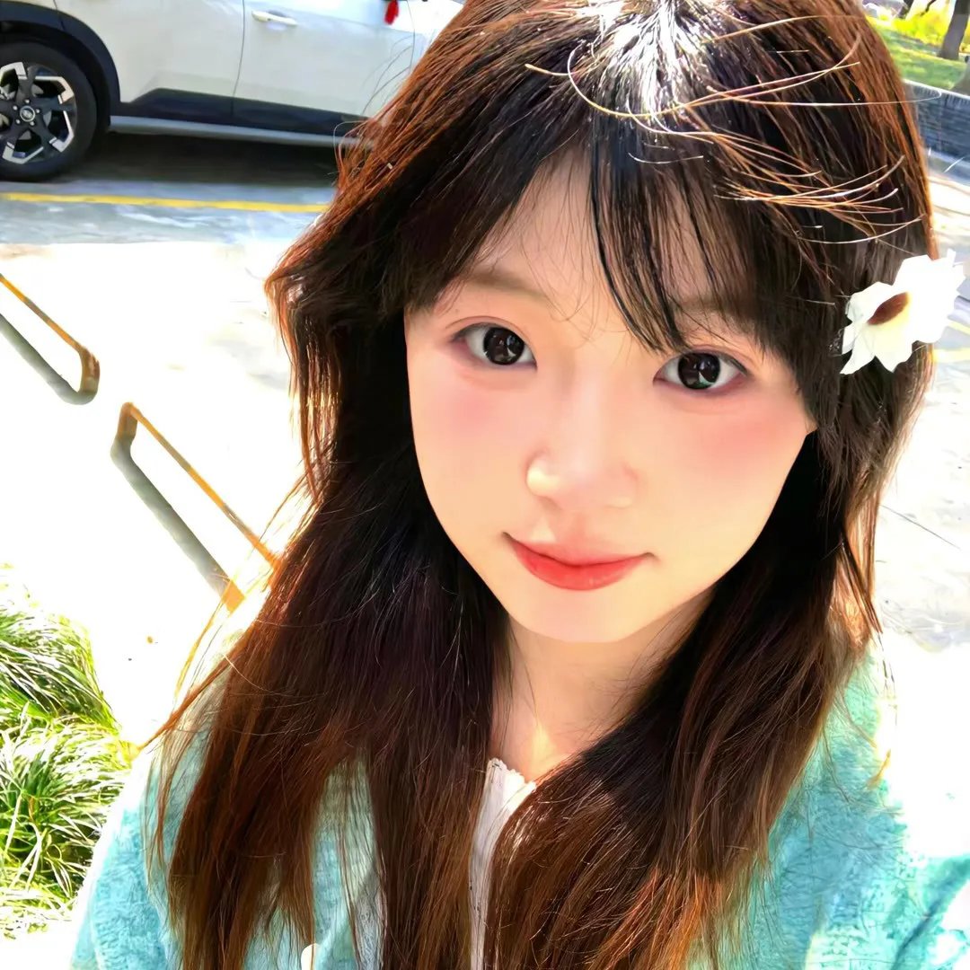郊区的鸟